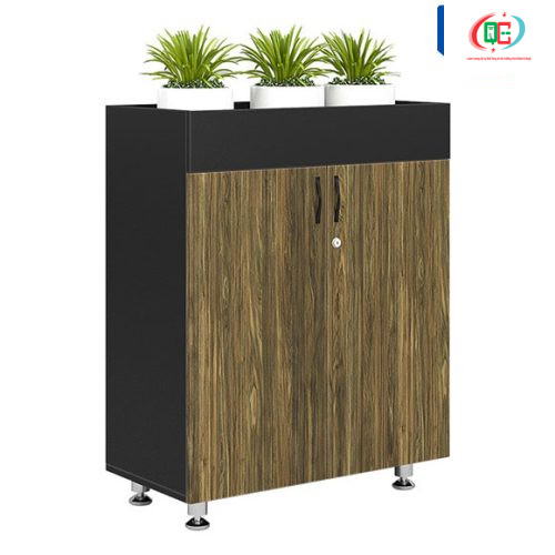 Tủ Gỗ  BRI1000-2T2